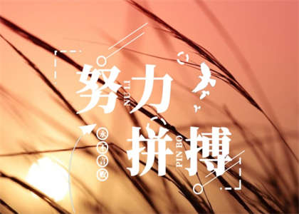 长安大学考研资讯