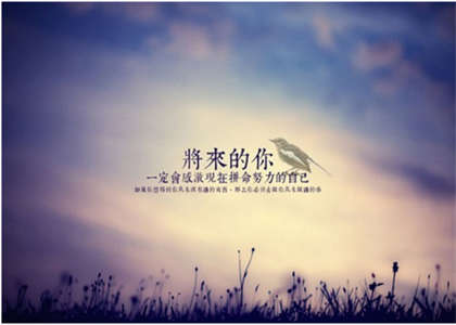 长安大学考研资讯